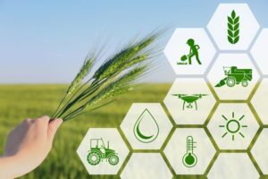 Agricultural Research and Innovation Center Planned to Support Farmers in Prakasam