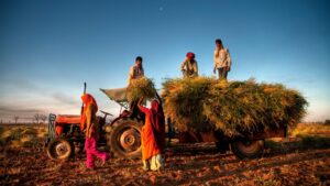 Farmer Producer Organizations Strengthen Rural Economy Across Prakasam District