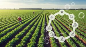 Prakasam Farmers Embrace Technology to Improve Crop Monitoring and Productivity