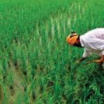 New Agricultural Support Package Announced for Farmers in Prakasam District