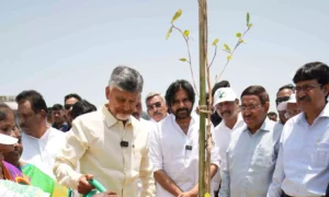 Massive Tree Plantation Drive Launched Across Prakasam District